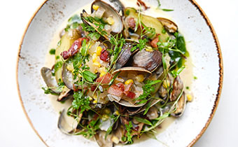 Marin bowl of clams